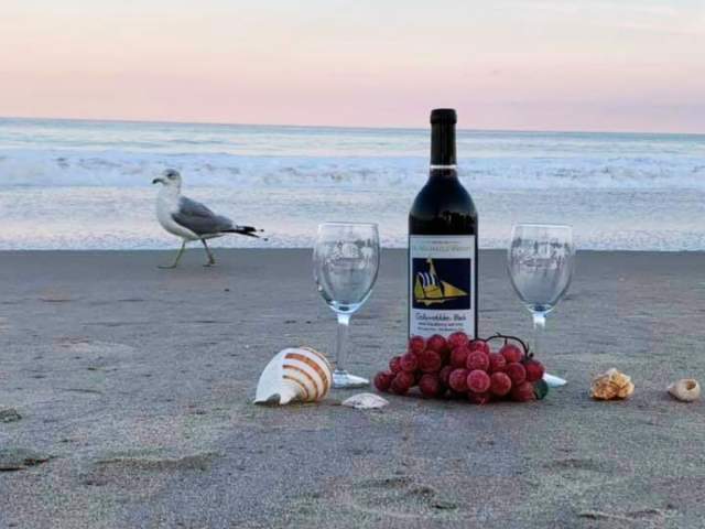 Wine on the Beach