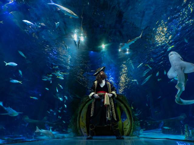 Captain Sebastian welcomes visitors to Pirates of the Haunted Seas at SEA Life Orlando