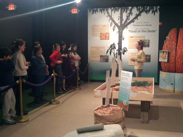 Chocolate Kingdom - Interactive Factory Adventure Tour