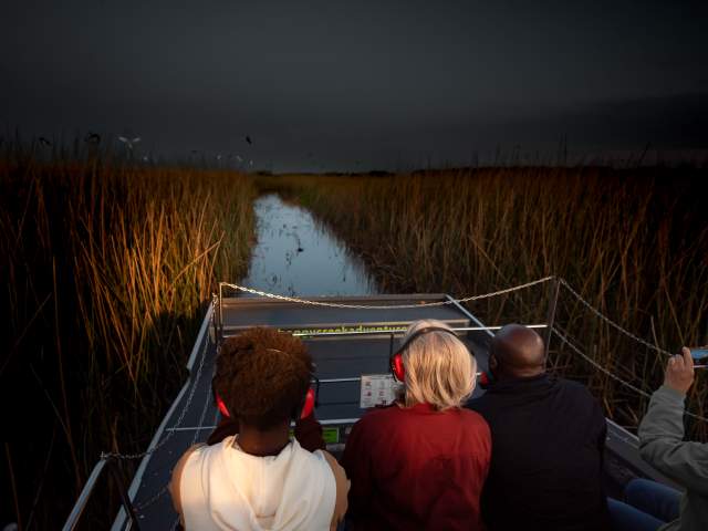 Four people ride a night airboat tour at Boggy Creek. They face forward, headphones on and backs to the camera, as the boat streaks past tall grass and darkened sky.