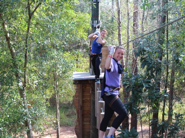 Women on a rope course at Orlando Tree Trek