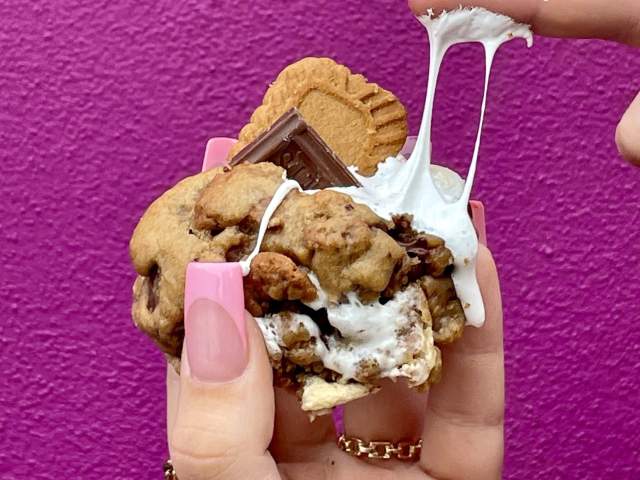 Phat Ash Bakes cookie