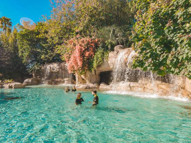 Discovery Cove Wellness Blog