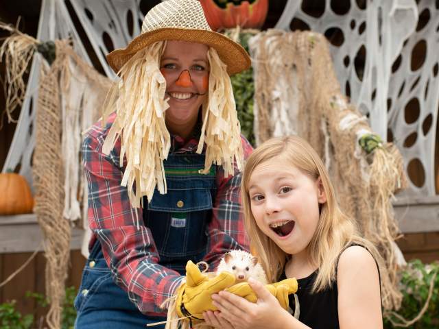 A scarecrow and young girl holding a hedgehog at Gatorland's Gators, Ghosts and Goblins Halloween event.