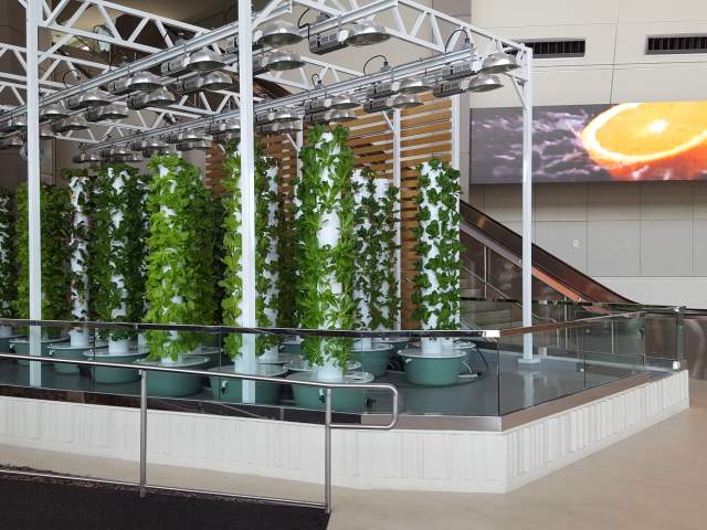 Hydroponics at the Orange County Convention Center