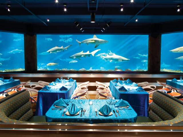 SeaWorld - Sharks Underwater Grill people dining with shark tank in the background