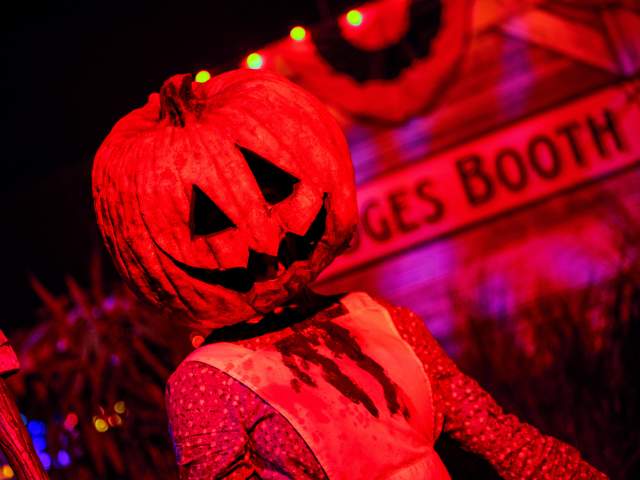 8501-hhn-2023-scareactors-image-3.jpg