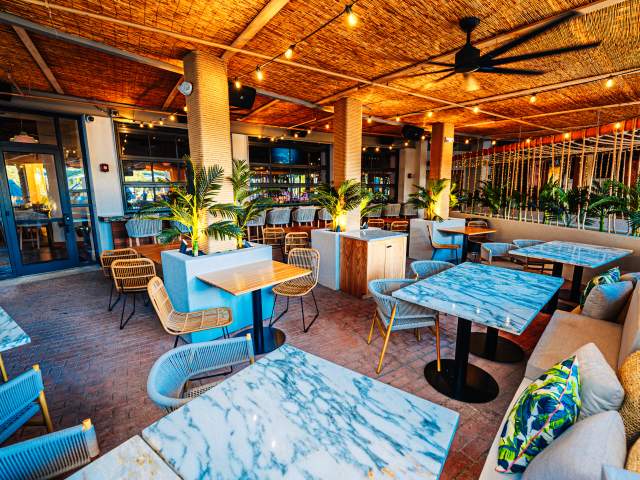 201485 - Palm Tree Club