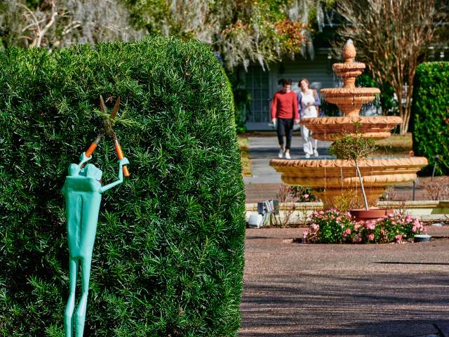 Frog statue at Harry P. Leu Gardens