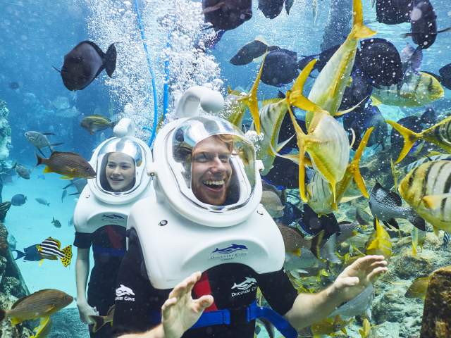 A father and daughter underwater at SeaVenture: Underwater Walking Tour in Discovery Cove