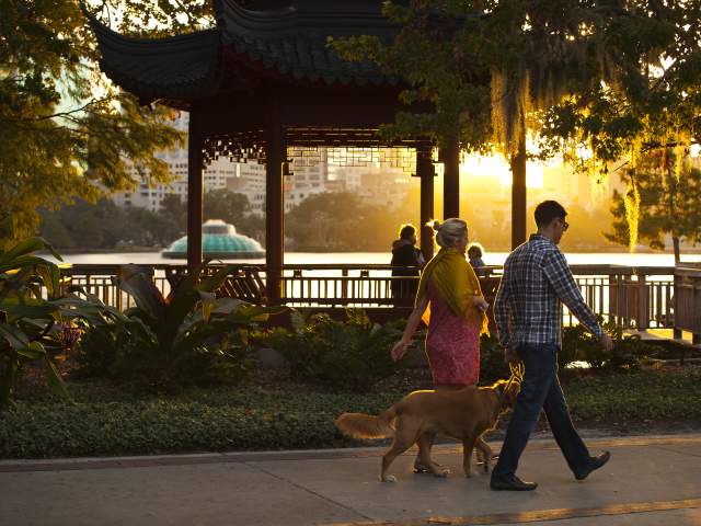 A couple walking their dog along Lake Eola with the fountain in the background