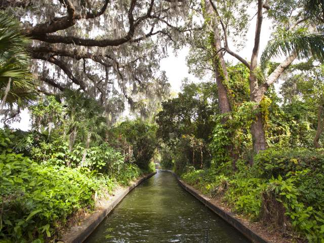 a canal along the Winter Park Scenic Boat Tour