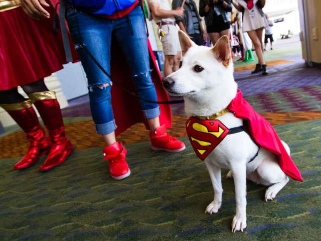 MEGACON Orlando event