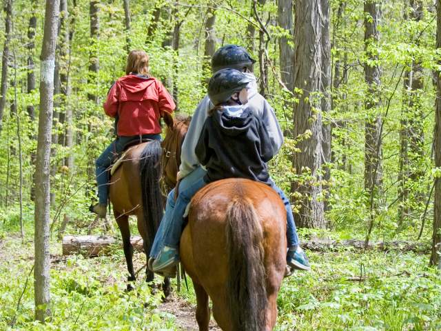 A family horseback riding, rear view