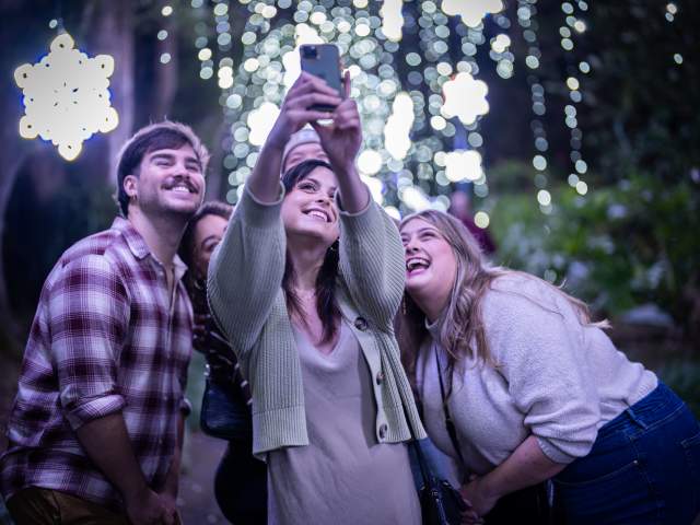 Dazzling Nights 2023 B-Roll Images