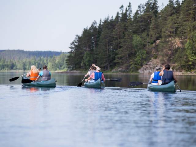 En gruppe mennesker fordelt i tre kanoer padler i sjøen.