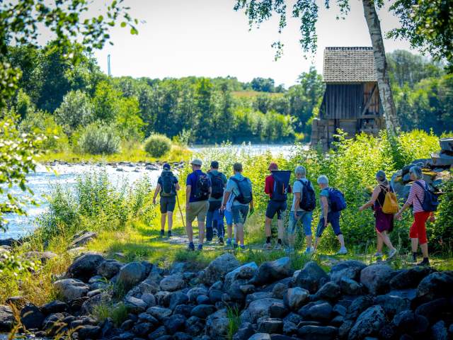 Vandrere på pilegrimsvandring i forbindelse med Olavsdagene og Olsokfeiring