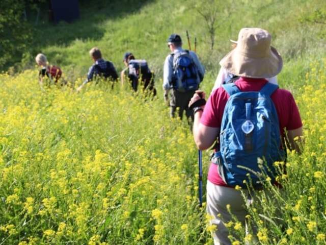 Et følge som vandrer i en gul blomstereng