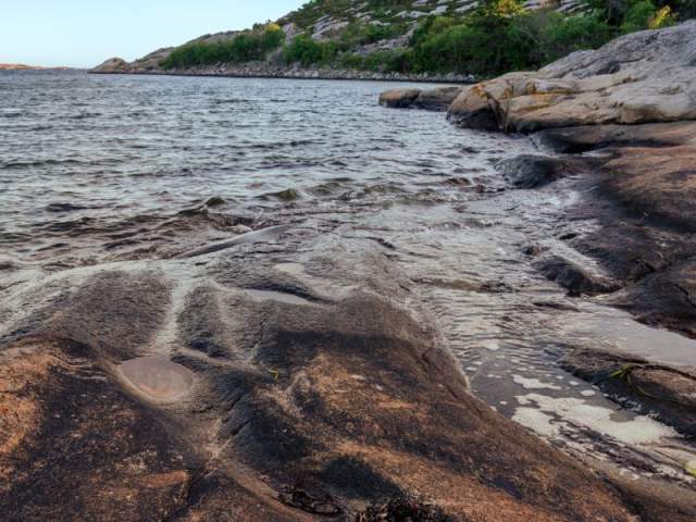 Et vann med svaberg og skog i bakgrunn