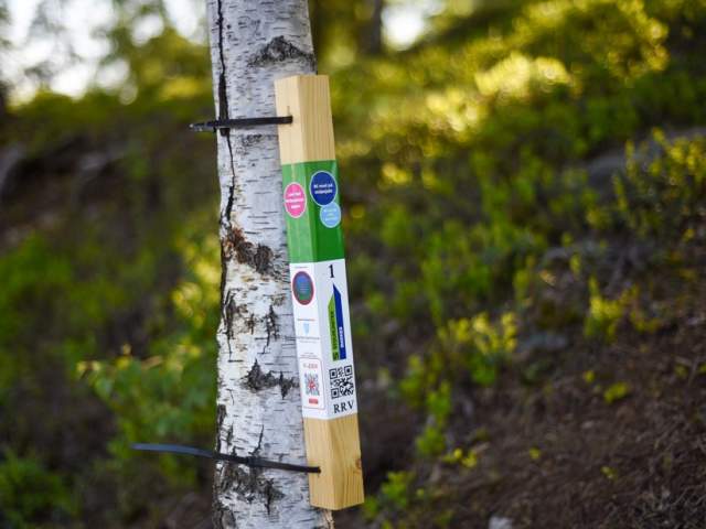 Stolpejakt