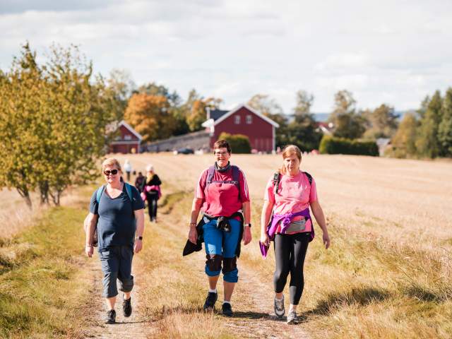 Damer på tur mellom to treskede åkrer.