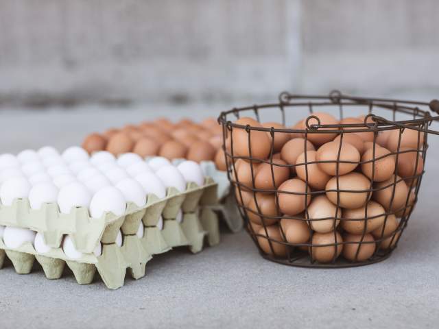 Kurv og brett med gule og hvite egg