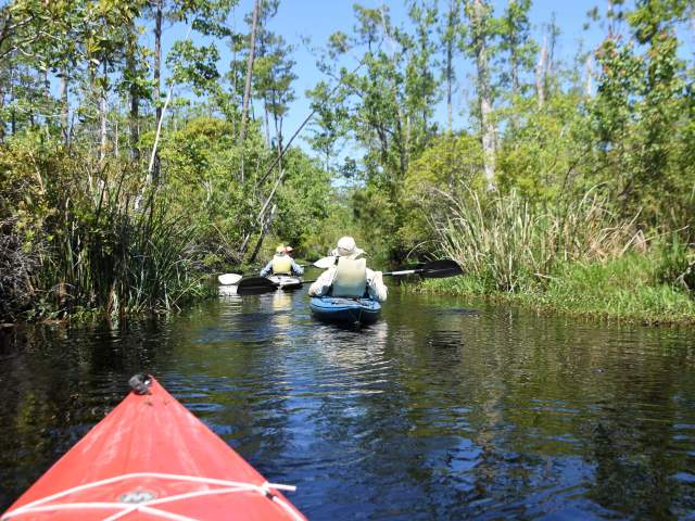 Exploring Our Protected Lands in the Outer Banks