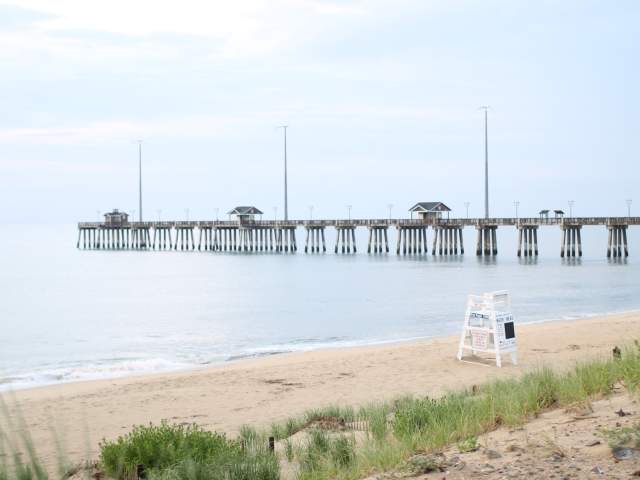 7 Ways to be a Good Steward of the Environment