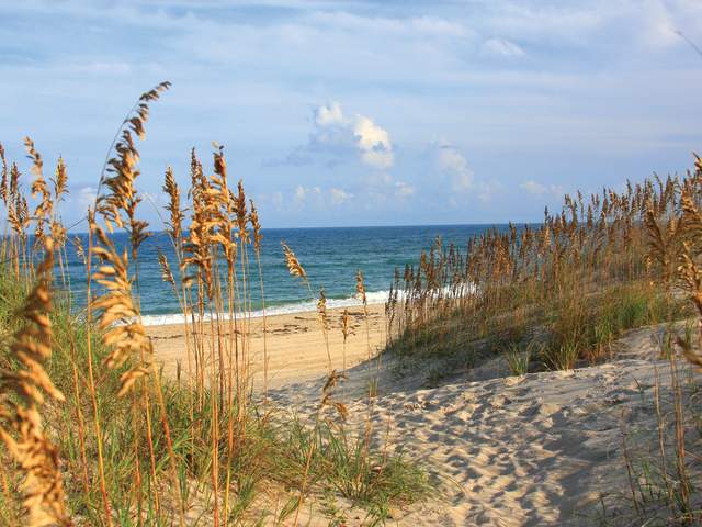 coquina beach - beauty shot