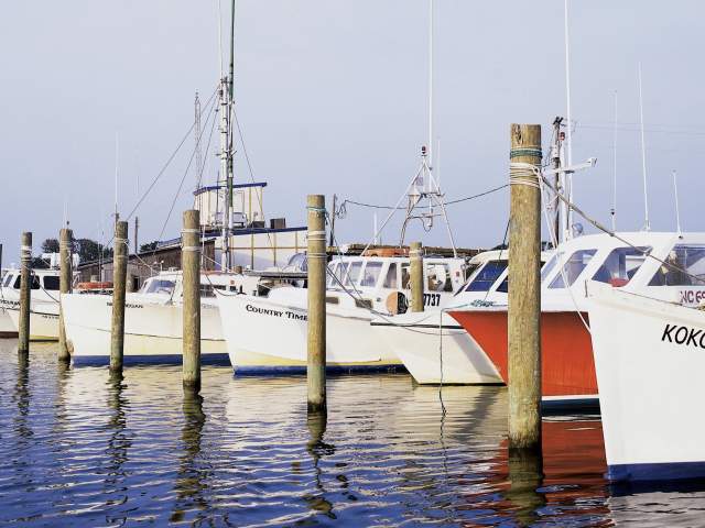 Fishing Boats