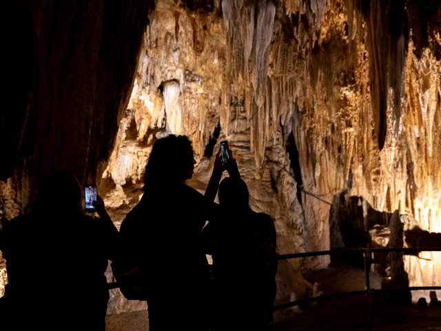 Luray Caverns phone