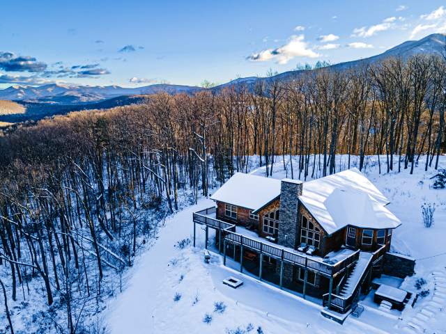 Shenandoah Woods - Winter
