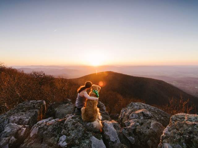 Shenandoah National Park