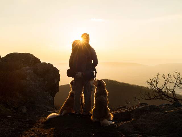 Shenandoah National Park