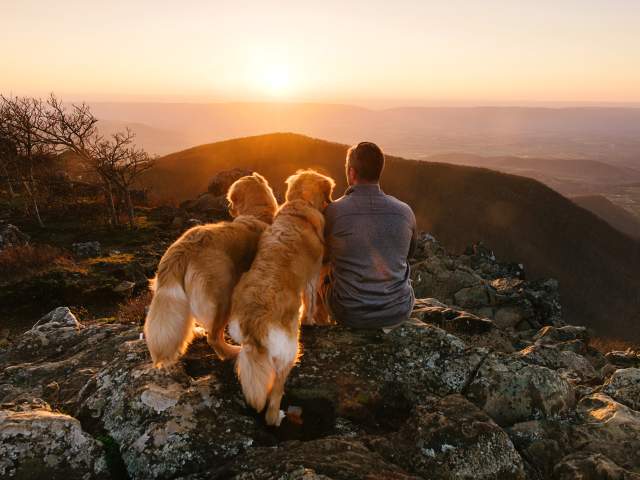 Winter in Shenandoah National Park