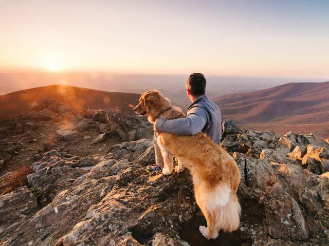 Shenandoah National Park