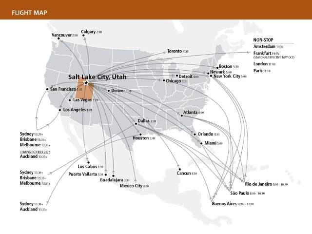 Map of flight paths flying into the USA
