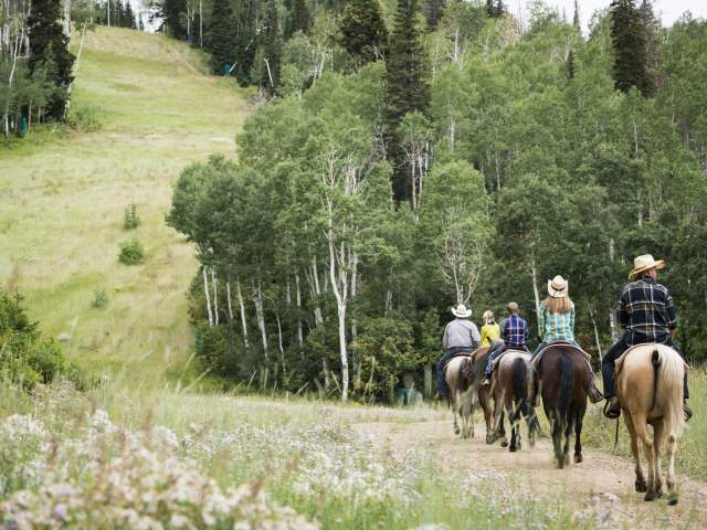 Horseback Riding on a Trail