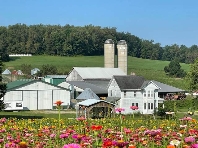 A working farm with a flower field in front of the farm buildings