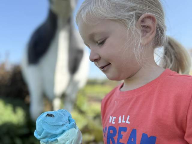 A young girl holding a blue ice cream cone in front of a large, plastic cow