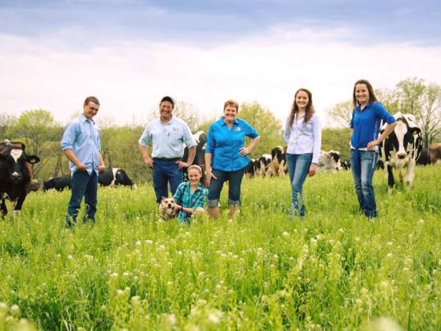 Six men and women in jeans and flannel shirts in a field with cows