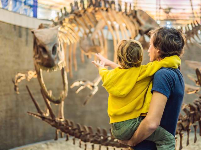 A father holding his young son looking at a large Dinosaur fossil in a museum
