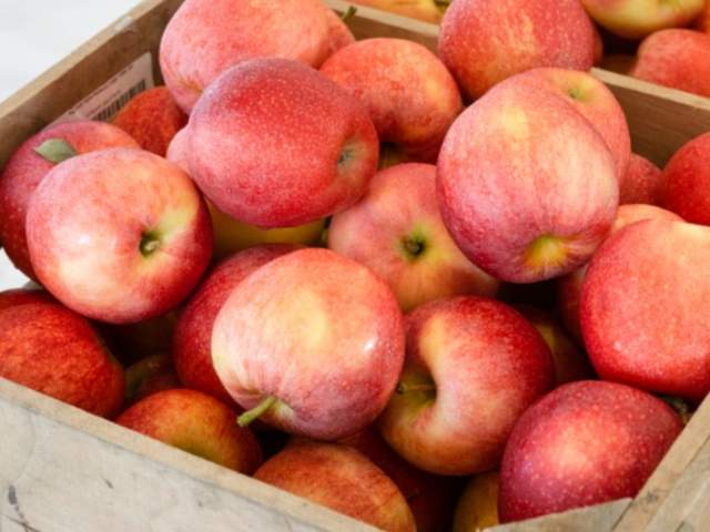 apples