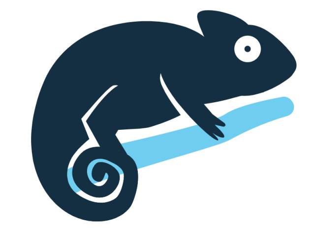 chameleon icon