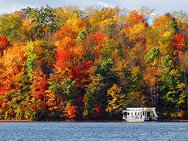 Fall Story Ideas