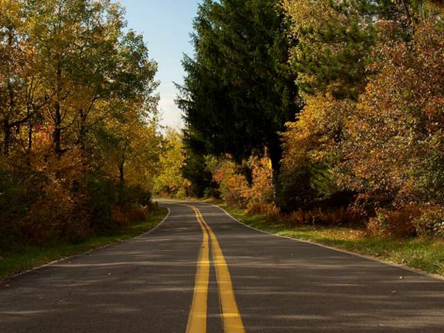 Big Pocono State Park Tannersville