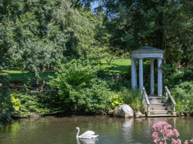 Lake at Morris Arboretum