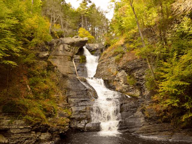 Delaware state forest