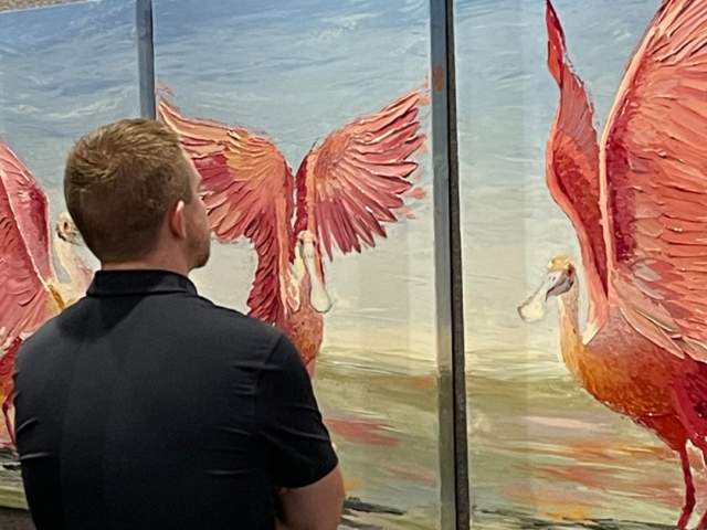 A man considers 3 paintings of a Roseate Spoonbill at Port Aransas Art Center's gift shop