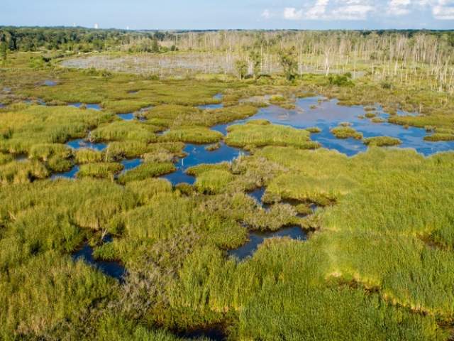 An aerial view of the Great Marsh Wetlands